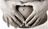 Gravid